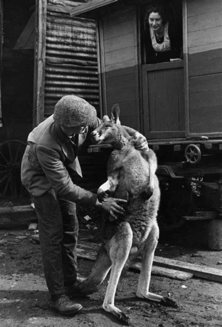 20 Bizarre And Disturbing Vintage Photos