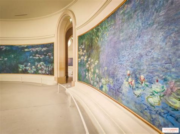 An Elderly Woman Stole An Artwork Jacket From A Paris Museum