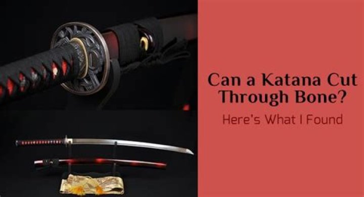 Can a katana cut through bone? - Celebrity.tn