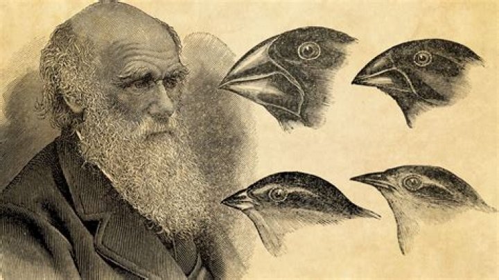 Charles Darwin Facts That Reveal The Man Behind Evolution