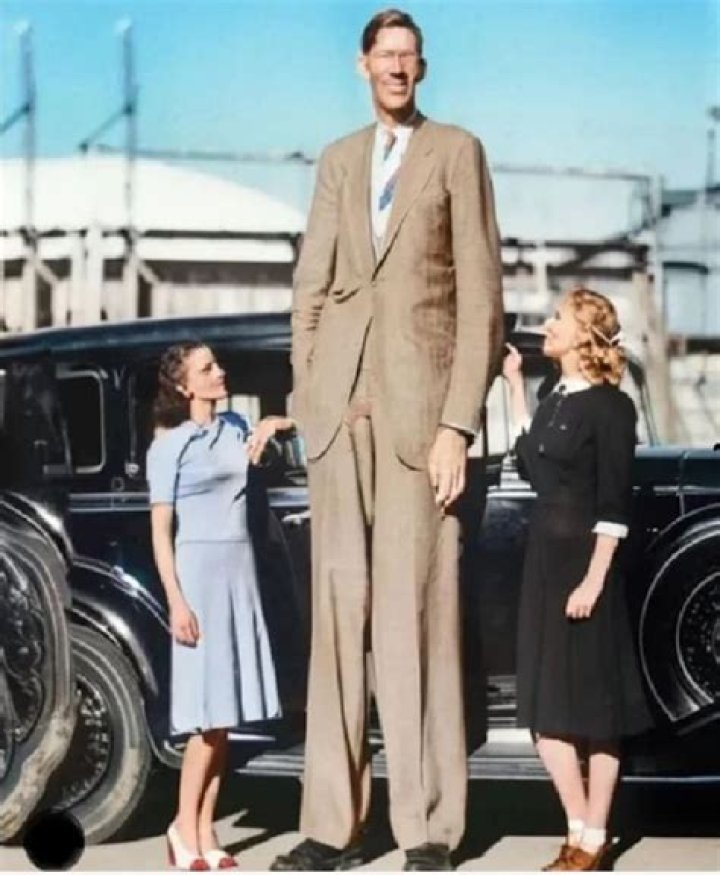 How tall is Robert Taylor
