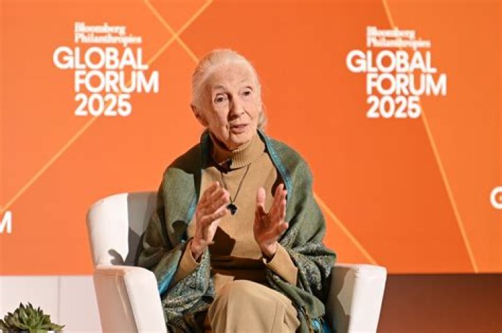 Is Jane Goodall Still Alive? Whereabouts Today – Her Age And Health Update