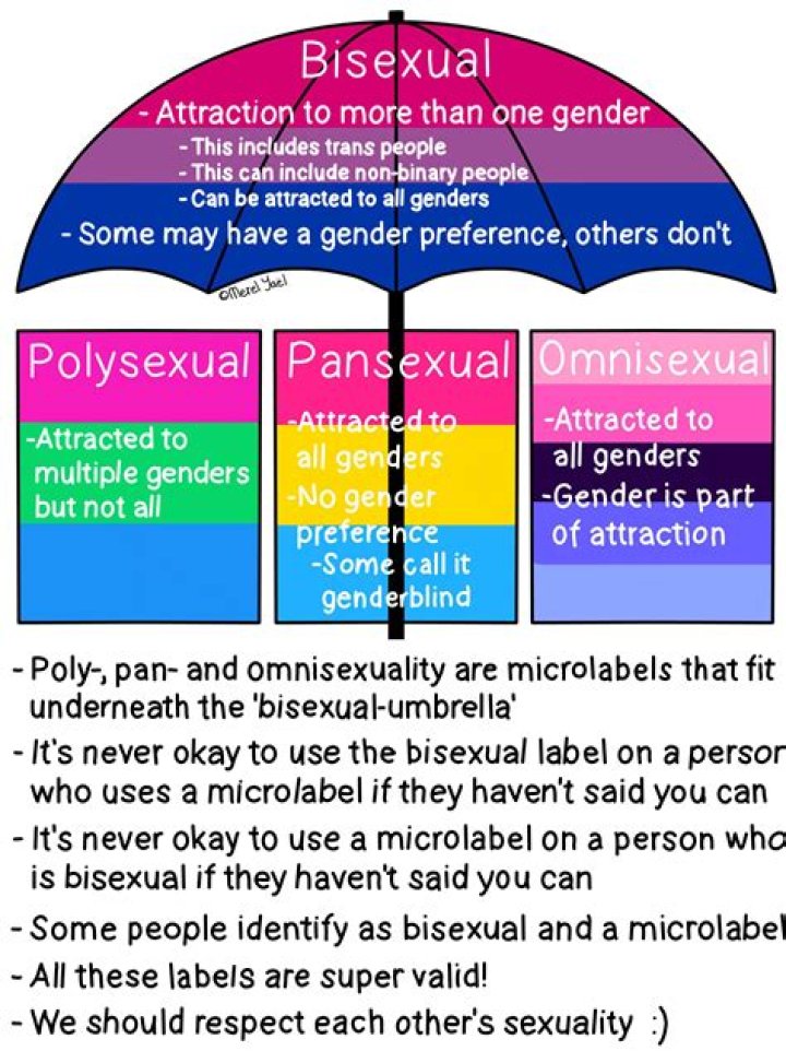 Is Sam Williams Gay: What Is Sexuality?