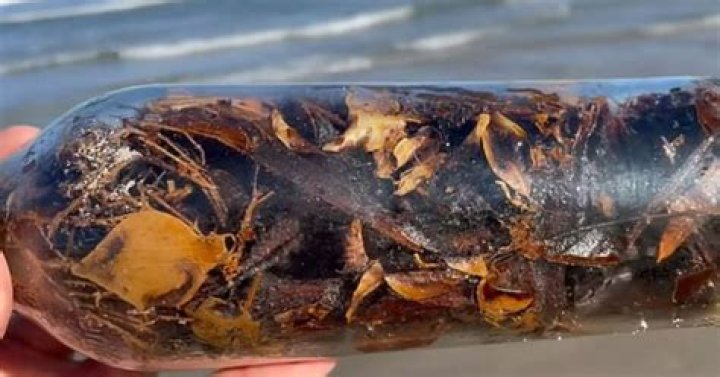 Mysterious 'Witch Bottles' Are Washing Ashore In Texas