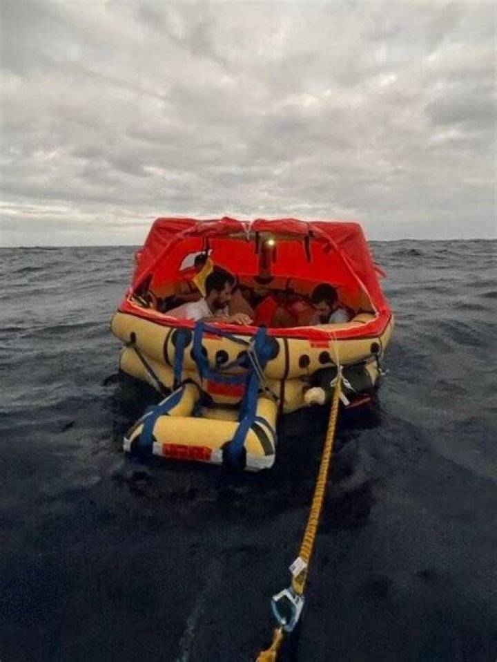 Sailboat Crew Rescued At Sea After A Whale Sinks Their Ship