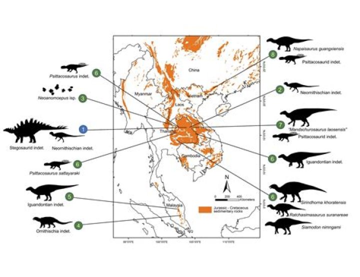 Second Dinosaur Species Ever To Have Bat-like Wings Found In China