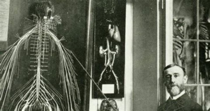 The Hospital Janitor Who Left Her Mark On Medical Science