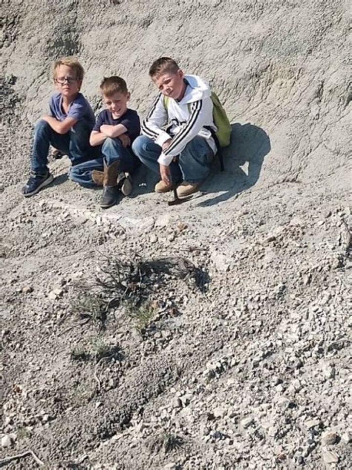 Three Boys In North Dakota Stumble Across A T. Rex Fossil