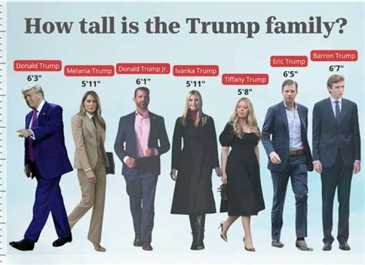 Timothy Spall Height: How tall is Timothy Spall?