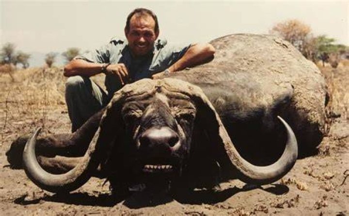 Trophy Hunter Claude Kleynhans Killed By Buffalo After Shooting One