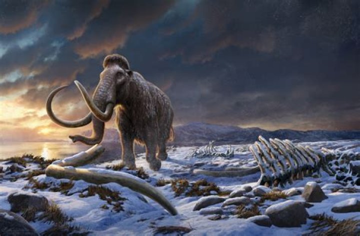 Woolly Mammoths’ Extinction In Canada Happened Just 5,000 Years Ago